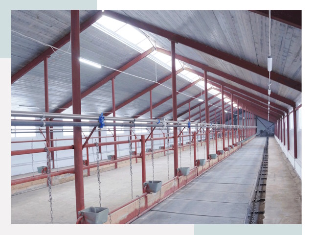 Строительство коровников в Большой Камне от 608 руб.