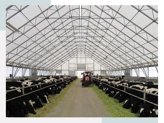 Тентовые коровники в Большой Камне от 608 руб. - Надежно и доступно